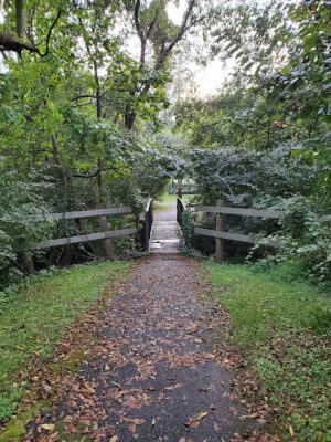 Bicentennial Park