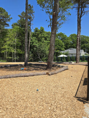 Cedarville Dog Park
