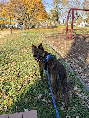 Fairground Park