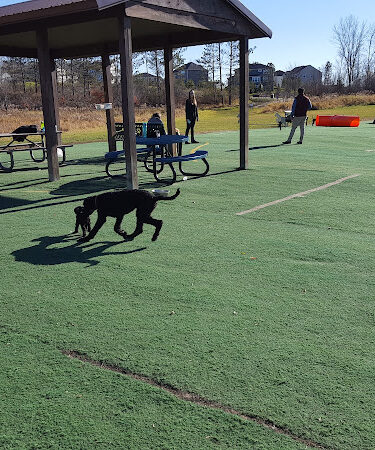 Plymouth Dog Park