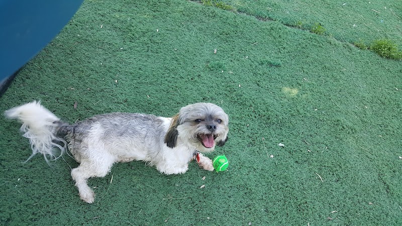 Plymouth Dog Park - Plymouth,