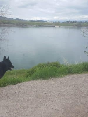Travis Dolphin Dog Park - Polson, MT