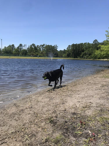 Davis Park Dog Run