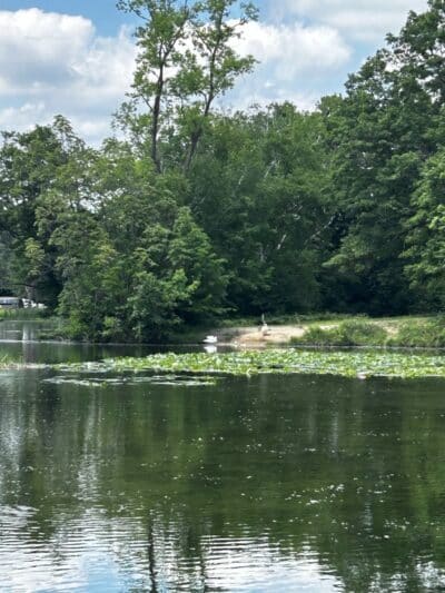 Beaudette Park - Pontiac, MI
