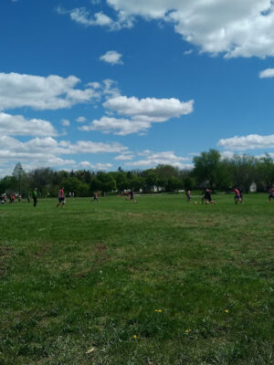Aaron Perry Park
