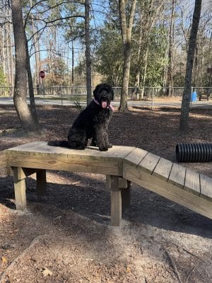 Tom Triplett Dog Park - Pooler, GA