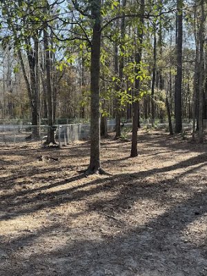 Tom Triplett Dog Park - Pooler, GA