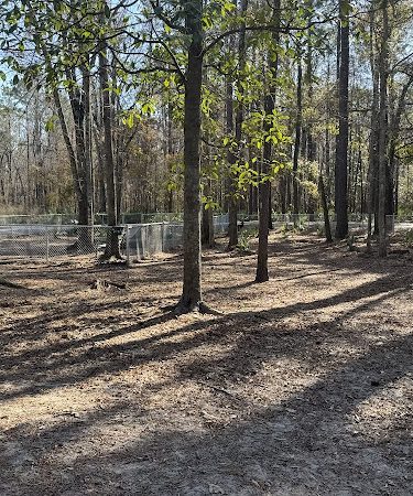 Tom Triplett Dog Park