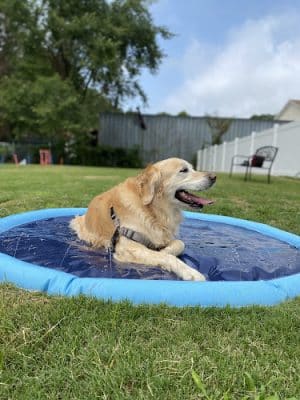 Petquoson Private Dog Park