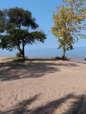 McGraw County Park