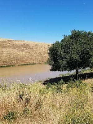 Carquinez Strait Regional Shoreline Park