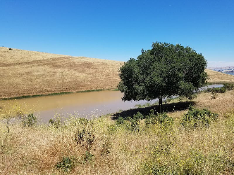 Carquinez Strait Regional Shoreline Park - Port Costa, CA