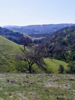 Carquinez Strait Regional Shoreline Park