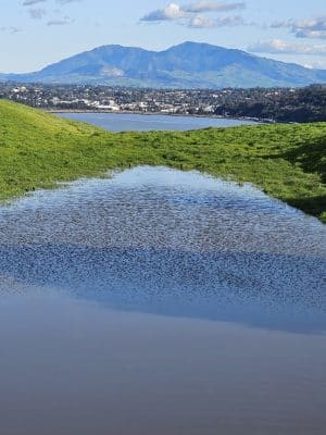 Carquinez Strait Regional Shoreline Park