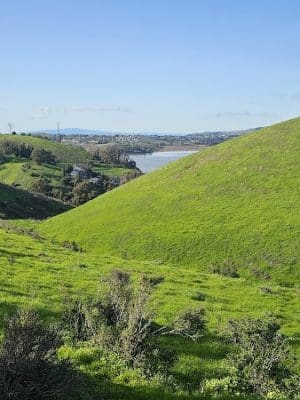 Carquinez Strait Regional Shoreline Park