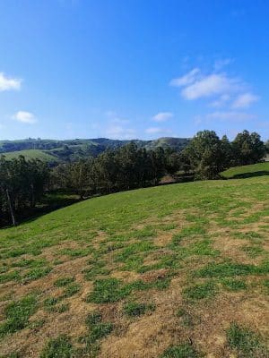 Carquinez Strait Regional Shoreline Park