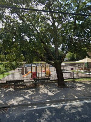 Dog Park