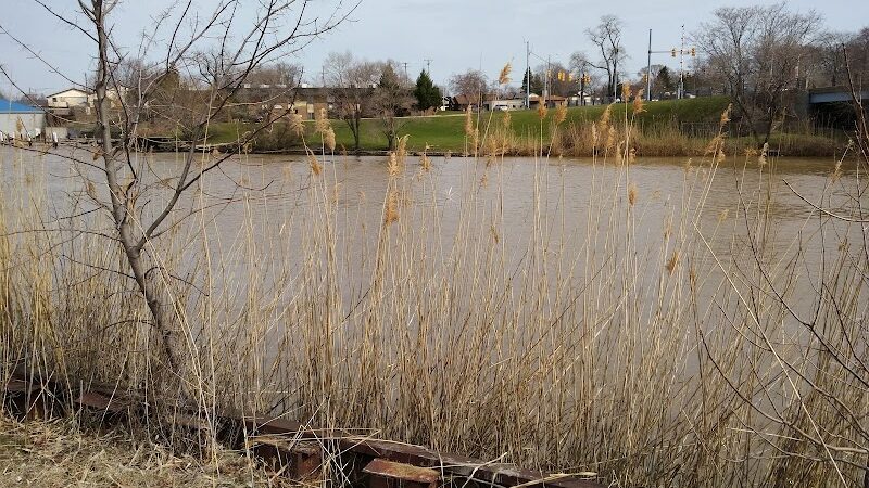 Haynes Park - Port Huron,