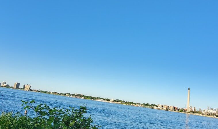 Wetlands County Park - Port Huron,