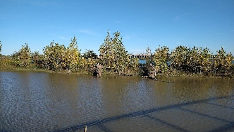 Wetlands County Park - Port Huron,