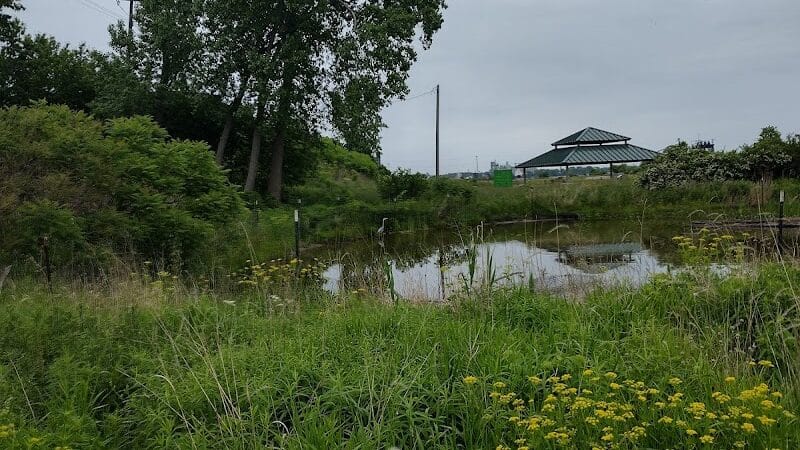 Wetlands County Park - Port Huron,