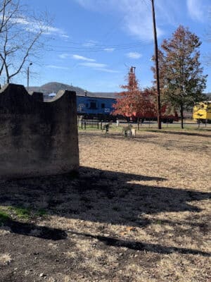 Port Jervis Dog Yard