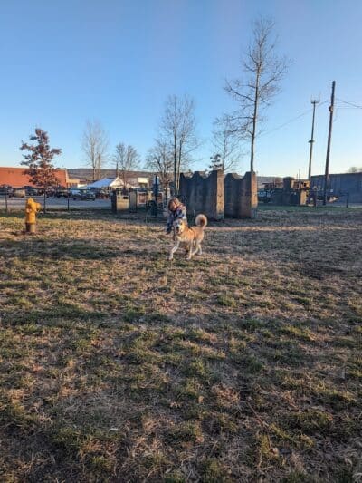 Port Jervis Dog Yard - Port Jervis,