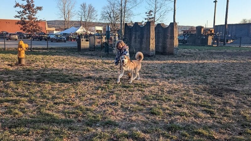 Port Jervis Dog Yard - Port Jervis,