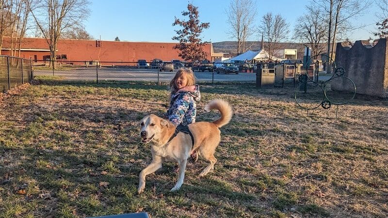 Port Jervis Dog Yard - Port Jervis,