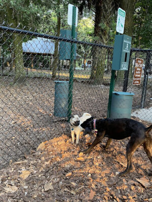 Seemor Memorial Park (Dog Park)