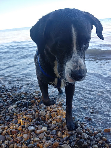 Lake Huron Roadside Park