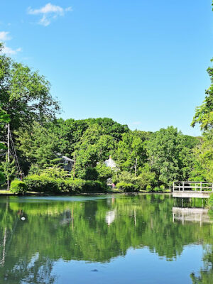 Baxter Pond Park