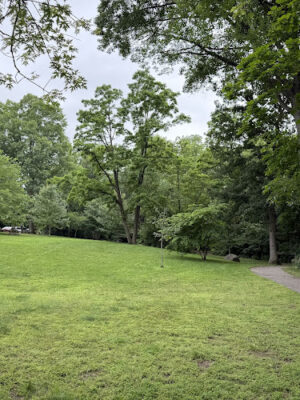 Stannards Brook County Park