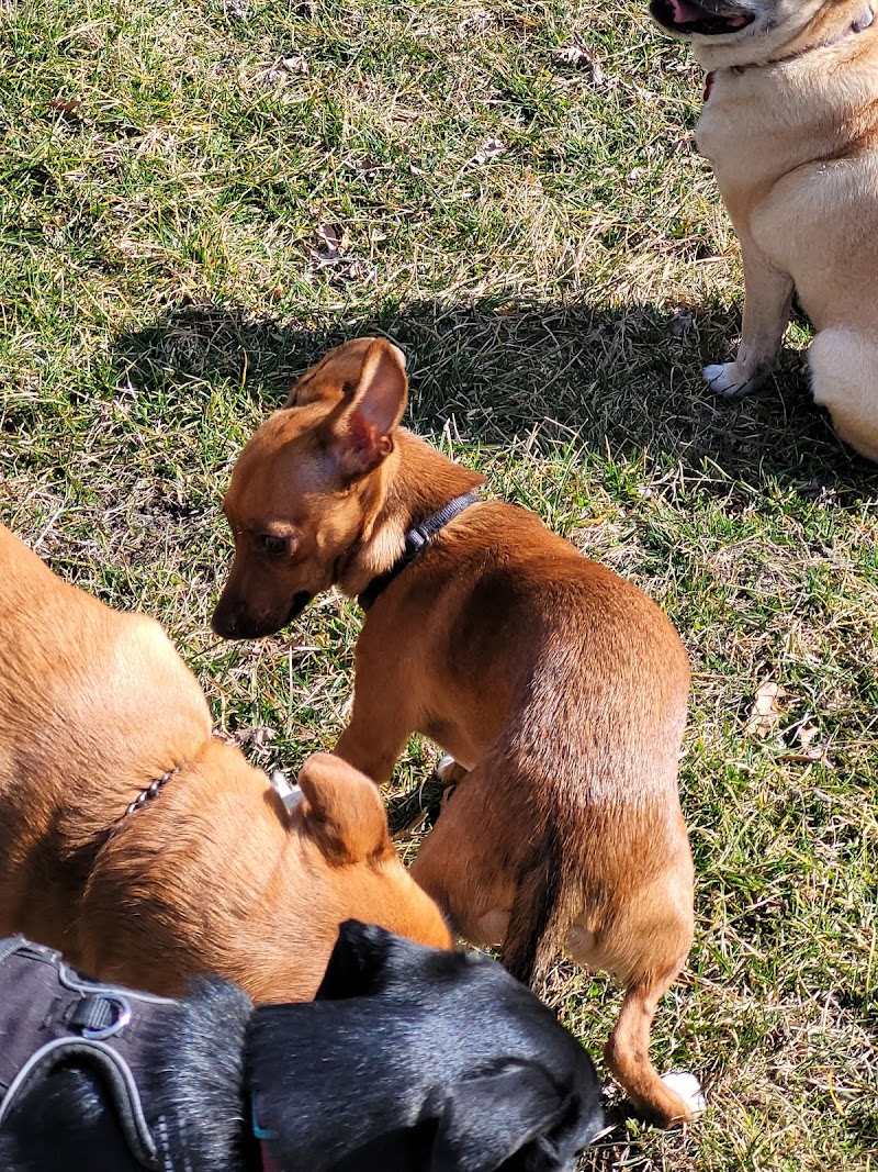 Woodland Dog Park - Portage, IN