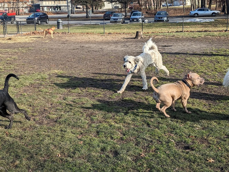 Woodland Dog Park - Portage, IN