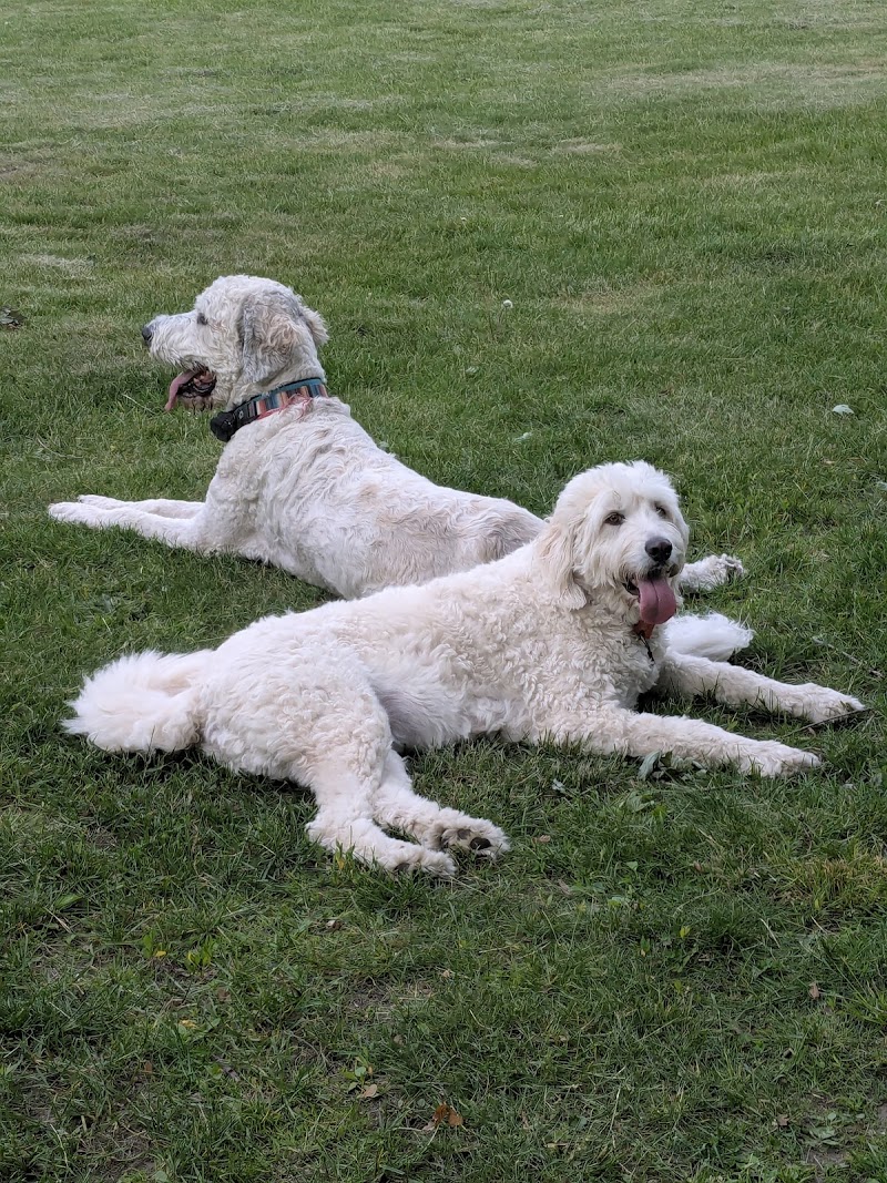 Woodland Dog Park - Portage, IN