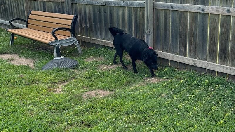 Lincoln Dog Park - Portage,