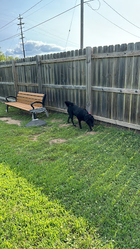 Lincoln Dog Park