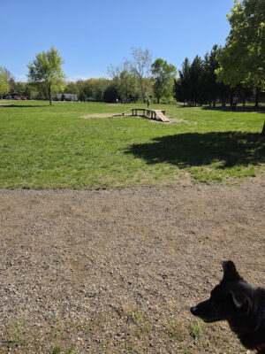 South Westnedge Dog Park
