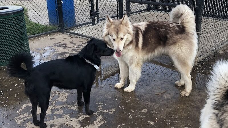 South Westnedge Dog Park - Portage, MI