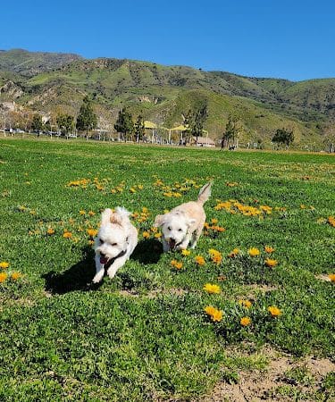 Porter Ranch Park
