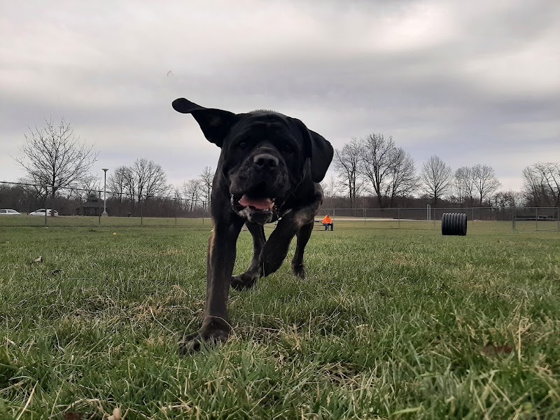 Portland Dog Park - Portland, IN