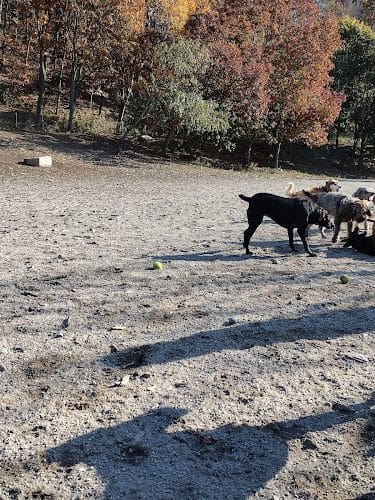 Valley Street Dog Park