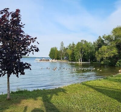 Grand Lake Roadside Park - Posen, MI