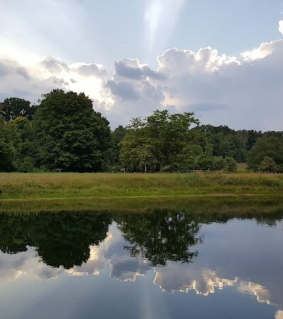 Fox Memorial Park - Potterville,