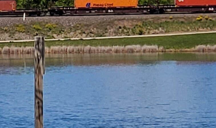 Lake Alliance Park - Potterville,