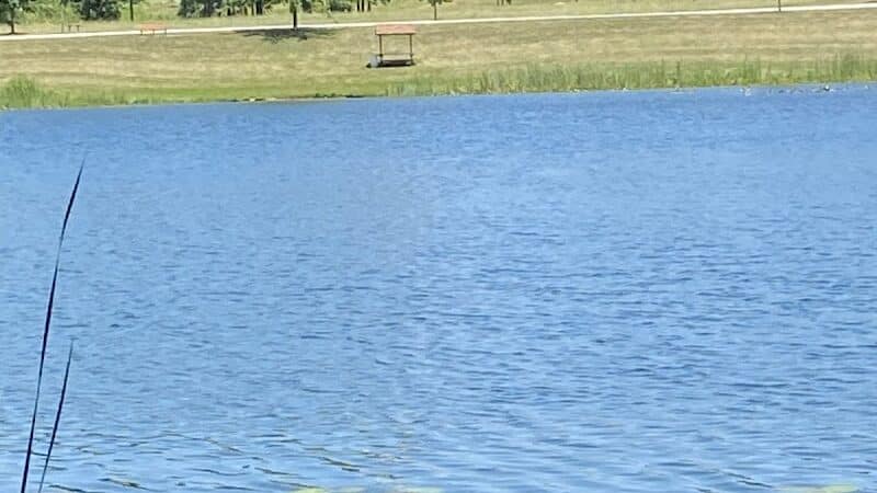 Lake Alliance Park - Potterville,