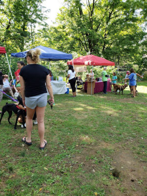 Althouse Arboretum