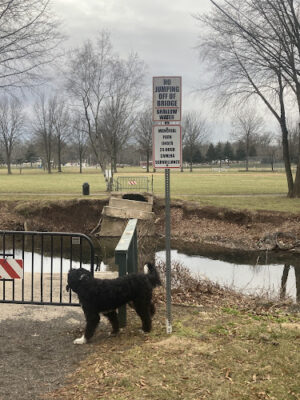 Memorial Park