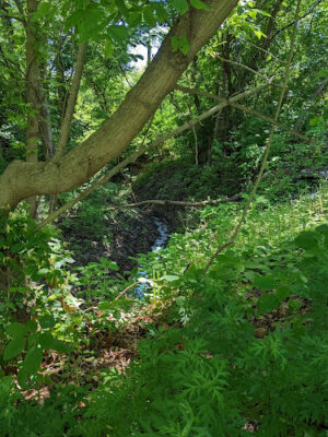 Schuylkill River Trail (Pottstown)